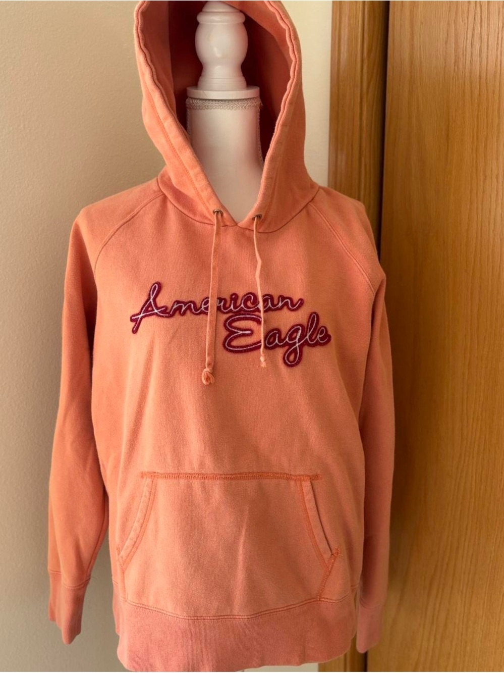 American Eagle Outfitters Coral Pullover Hoodie